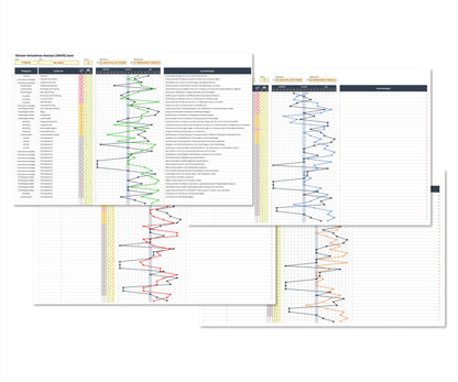 Die Illustration zeigt Screenshots von vier Arbeitsblättern des SWAN basic-Tools, einem komfortablen Excel-Tool zur vergleichenden Bewertung von Stärken und Schwächen eines Unternehmens. Jedes Arbeitsblatt enthält das Referenzprofil sowie ein Vergleichsprofil, die jeweils in unterschiedlichen Farben dargestellt sind. Die Screenshots vermitteln einen visuellen Eindruck der verschiedenen Arbeitsblätter und ihrer Farbcodierung für die Profile.
