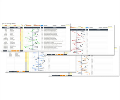 Die Illustration zeigt Screenshots von vier Arbeitsblättern des SWAN Pro-Tools, eines komfortablen Excel-Tools zur vergleichenden Bewertung von Stärken und Schwächen eines Unternehmens. Auf jedem Arbeitsblatt sind das Referenzprofil und jeweils ein Vergleichsprofil in unterschiedlichen Farben dargestellt.