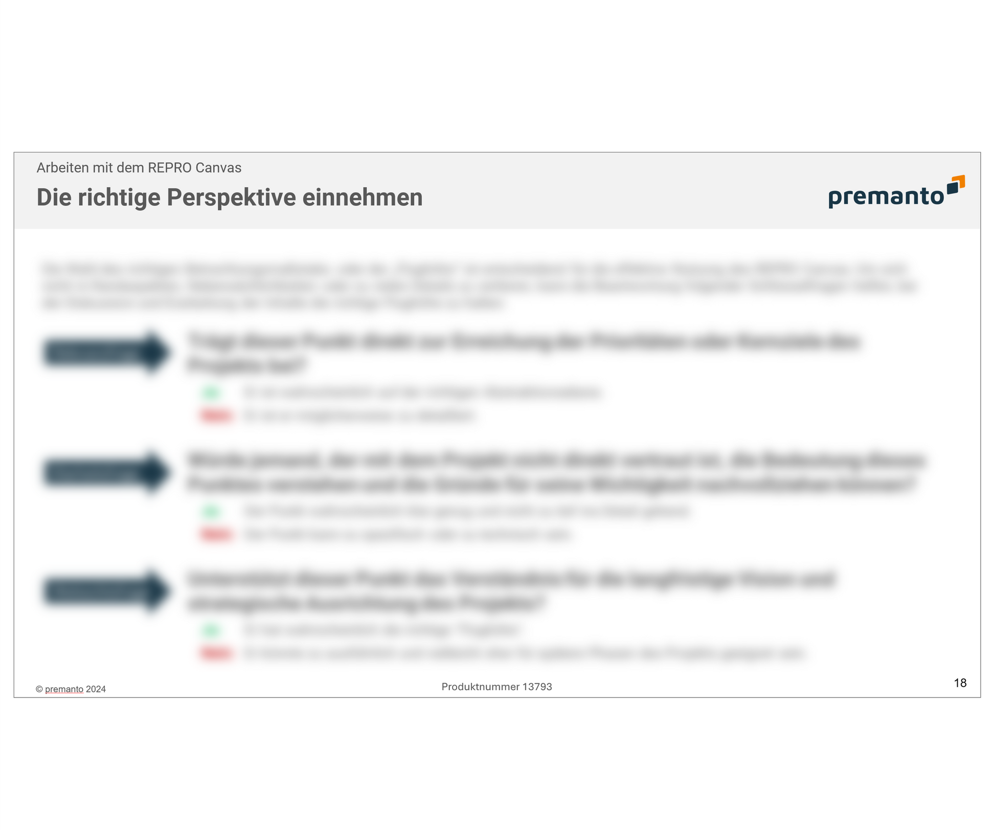 Screenshot zeigt Präsentationsfolie mit dem Titel "Die richtige Perspektive einnehmen" im Kontext mit dem REPRO Canvas. Es werden drei Schlüsselfragen aufgeführt, um die Diskussion zur Erarbeitung der Inhalte auf der richtigen Abstraktionsebene zu halten. 